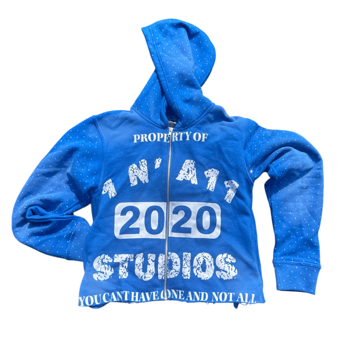 Blue 1 N’ A11 Studios Cropped